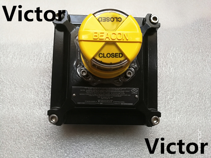 美國Triangle電機(jī) 